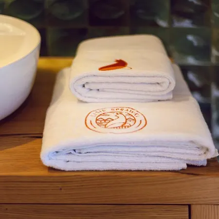 Villa Lisie Sprawki *