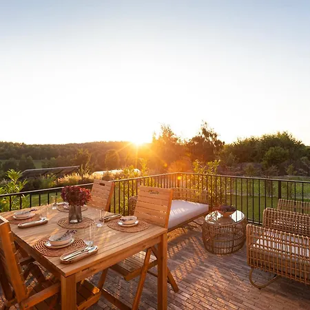 Lisie Sprawki * Beblo