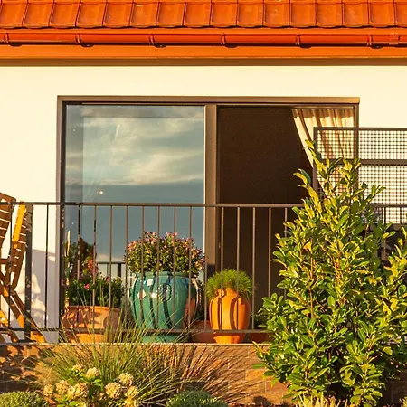 Villa Lisie Sprawki