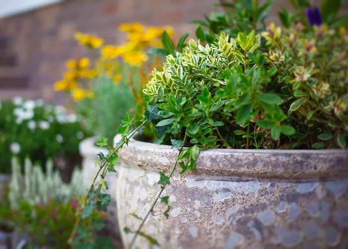 Lisie Sprawki וילה *