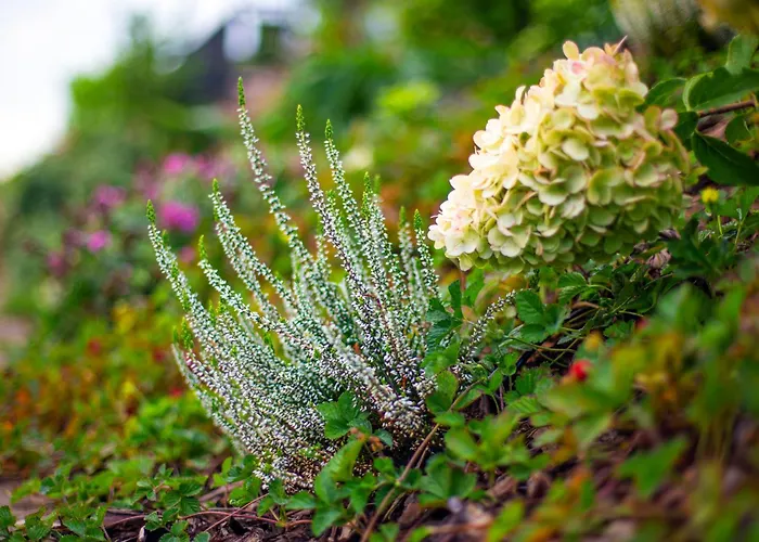 Lisie Sprawki וילה Beblo